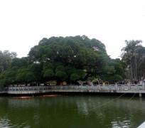 启东福州旅游攻略(福州旅游攻略二日游)
