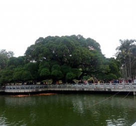启东福州旅游攻略(福州旅游攻略二日游)