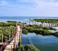 启东旅游哪里好玩(云南旅游哪里好玩)