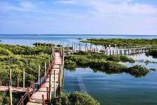 启东旅游哪里好玩(云南旅游哪里好玩)