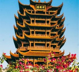 启东武汉游玩攻略(武汉游玩攻略路线)