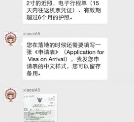 启东国外伴游软件进中国的(国内高端伴游哪个app好)