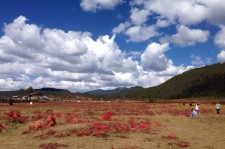 启东旅游去处(暑期最好的旅游去处)