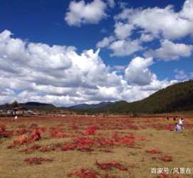 启东旅游去处(暑期最好的旅游去处)