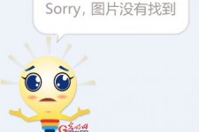 启东选美蜜斯(世界选美蜜斯)