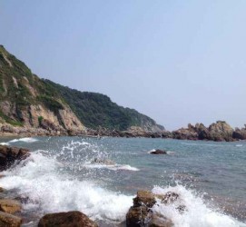 启东深圳旅游攻略(广州深圳旅游攻略)