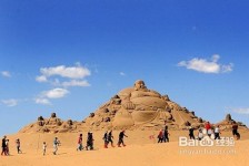 启东旅游图片大全(跟团旅游图片大全)
