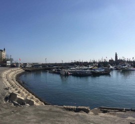 启东大连旅游攻略(大连旅游攻略自由行)