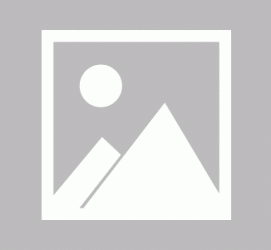 启东私人伴游 黄金周里动“黄”经 天津又现“私人陪游”逆流
